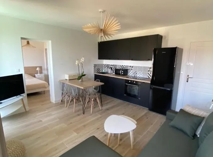 Magnifique T2 40m2 Centre Vue Au Bord De La Neuf 5 Personnes Clim Wifi Balcon Parking Prive Ferme